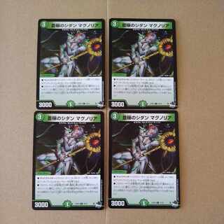 Sidan Magnolia C 70/74 in Abundance