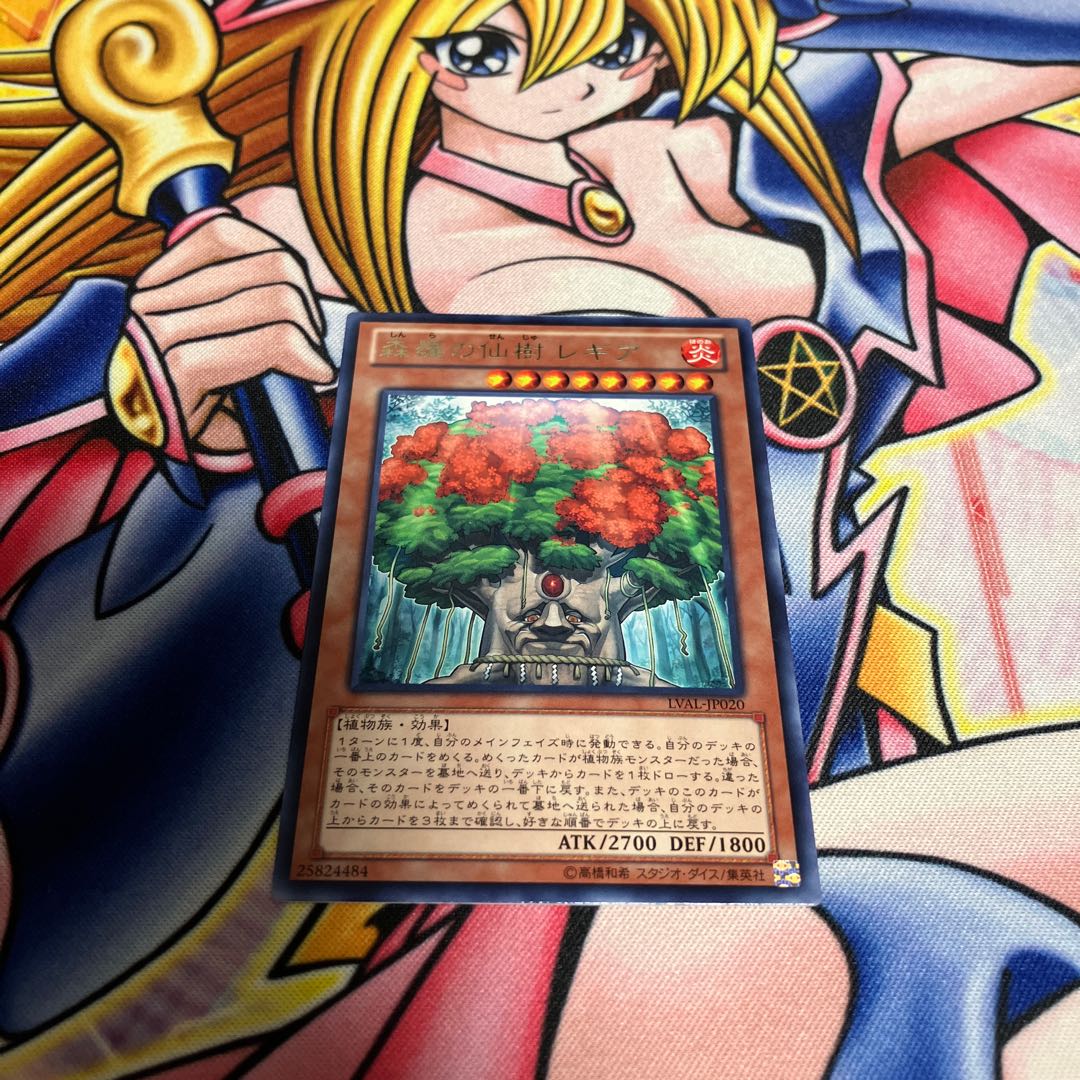 Sylvan Hermitree rare JP020