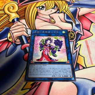 森羅の舞踏娘 ピオネ レア JP051