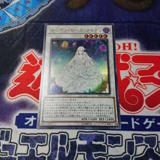 ガーデン・ローズ・メイデン