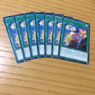 煉獄の災天 R 7点セット