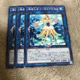 マドレース 海晶乙女コーラルアネモネ