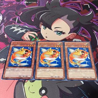 Wattberyx Rare JP031