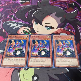 成金忍者 ノーマル JP031