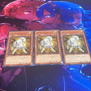 Light Road Hunter Raikou Normal