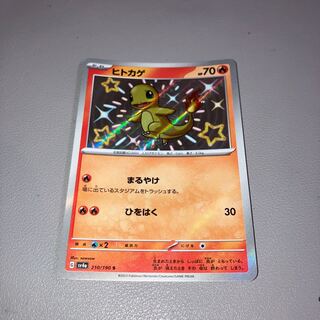 ヒトカゲ S 210/190