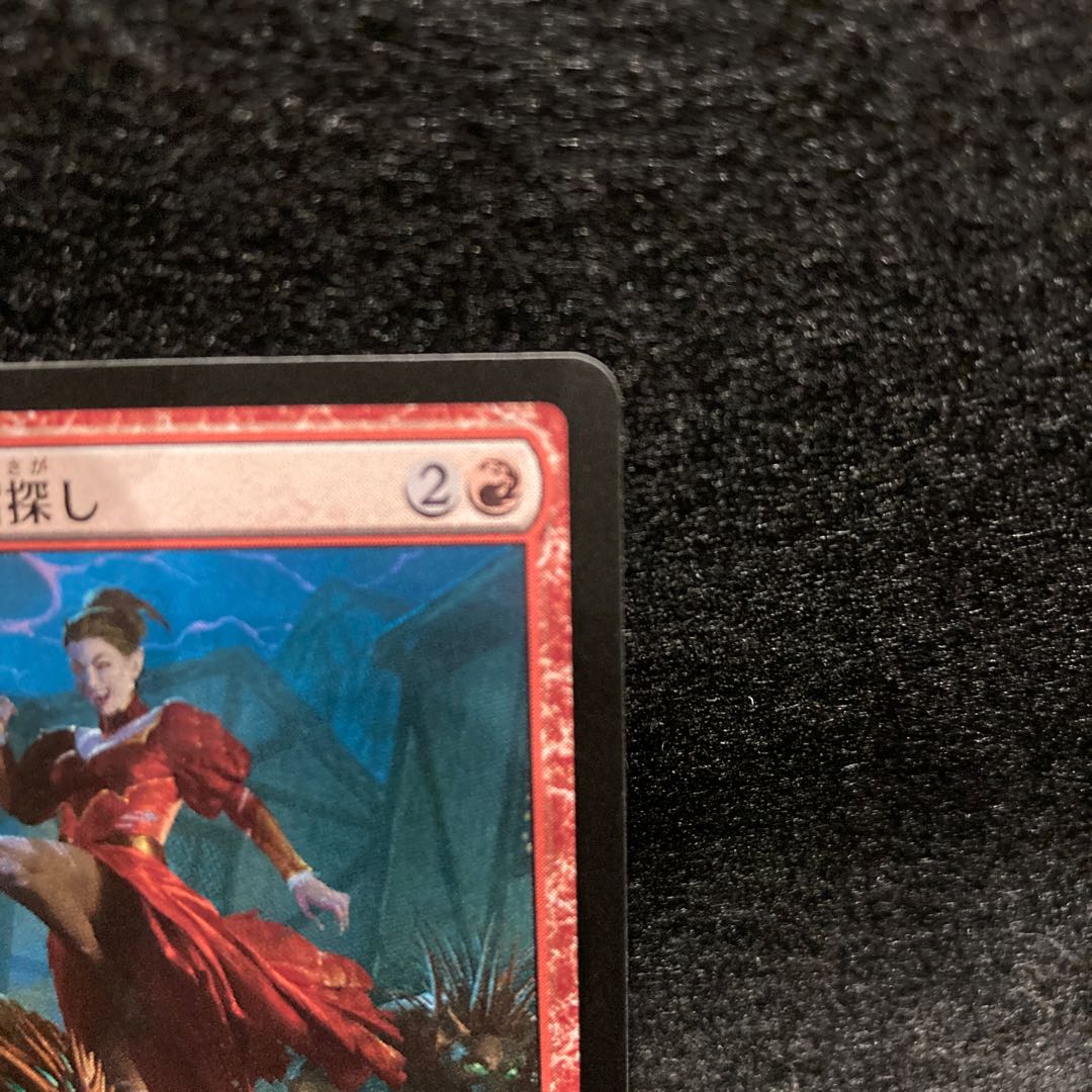 ヴォルダーレンの興奮探し 2枚セット