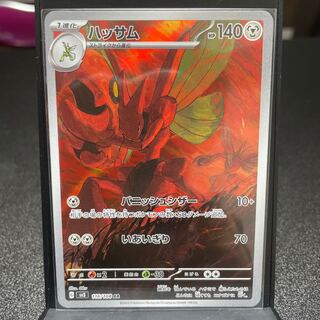 ハッサム AR 116/108