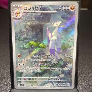 コジョンド AR 072/066