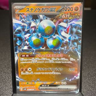 スナノケガワex RR 042/066