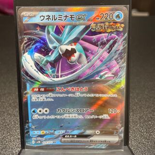 Unel minamo ex RR 024/071