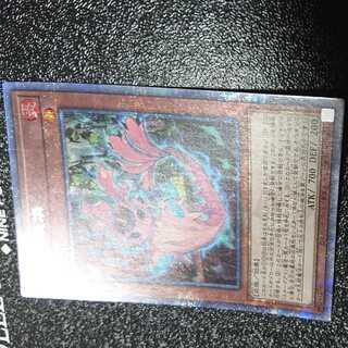 Fire phosphorus with snake eyes QCSE, 25th Sikh PHNI-JP012