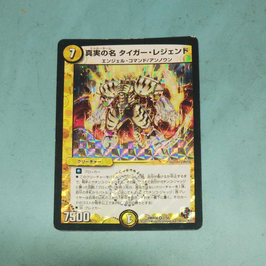 真実の名 タイガー・レジェンド