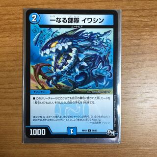 一なる部隊 イワシン U