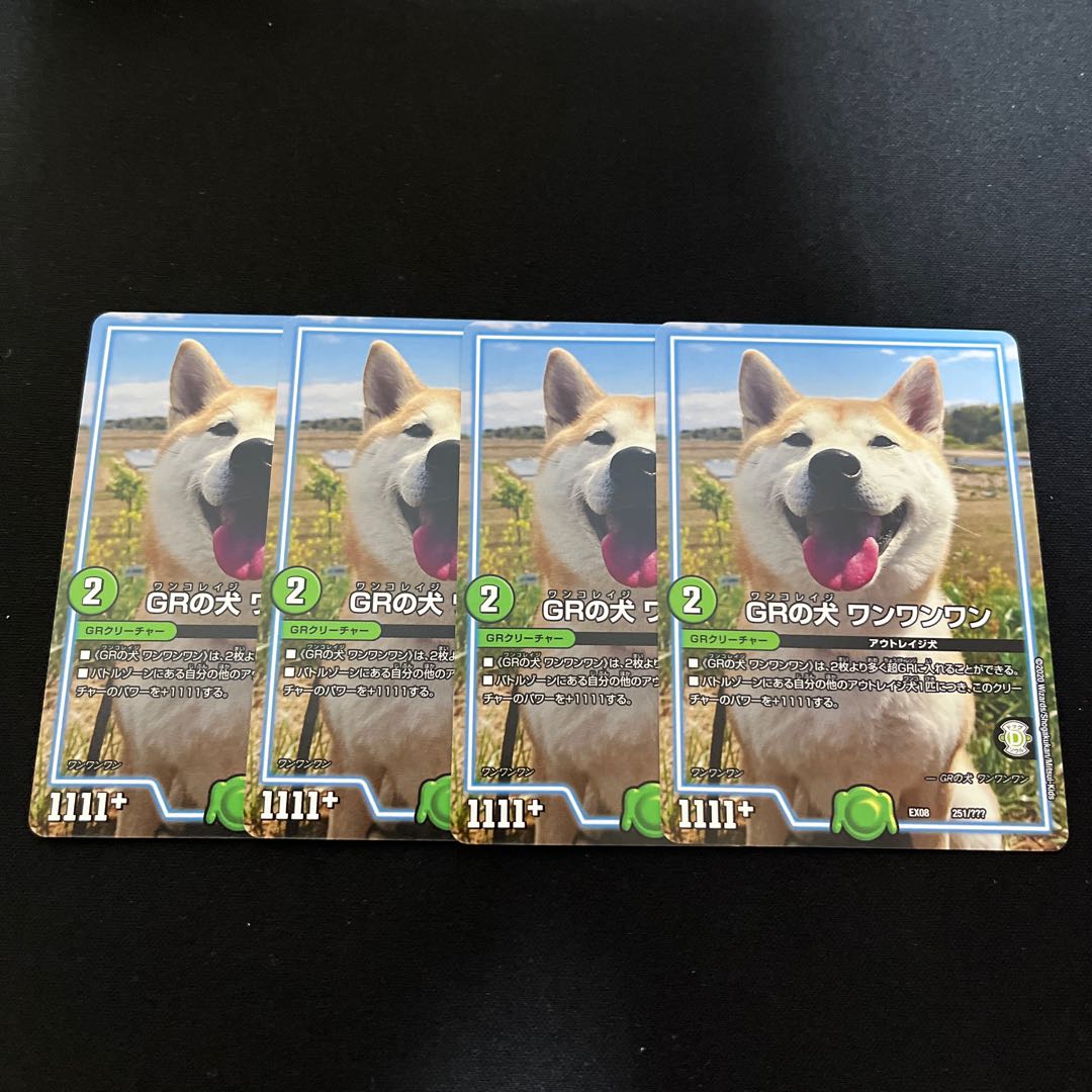 GR's dog One One One 251/?????