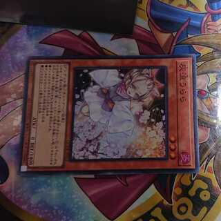 Ash Blossom & Joyous Spring Super Rare QCDB-JP021