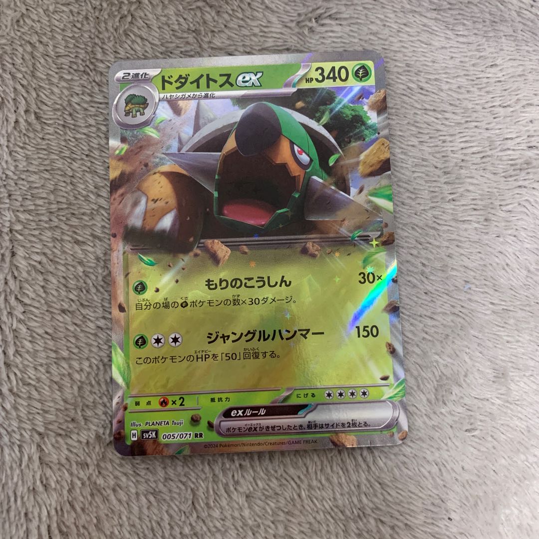 Torterraex RR 005/071