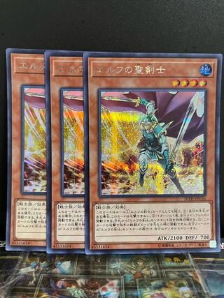 エルフの聖剣士