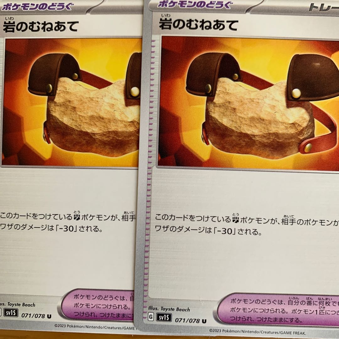 Pyrrosia tricuspis (species of felt fern)