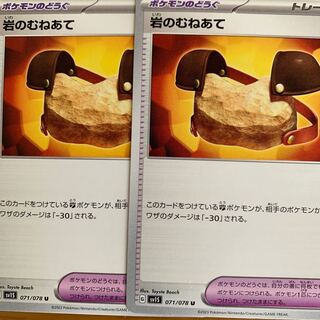 Pyrrosia tricuspis (species of felt fern)