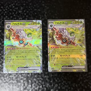 [Two pieces] Forretressex RR 005/071