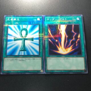 死者蘇生 サンダーボルト ノーマルパラレル