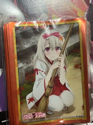 Fate/kaleid liner Prisma☆Ilya Dry! Sleeve Shaman