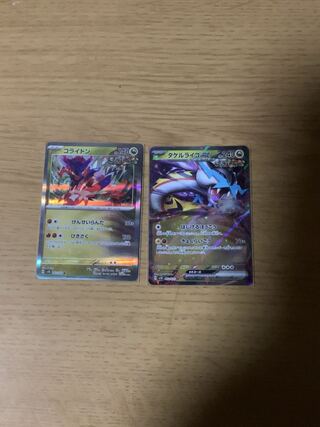 Corydon R 052/071 Takel Lyco ex.