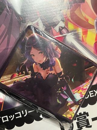 THE IDOLM@STER iM@S Hayawater Kanade Sleeve