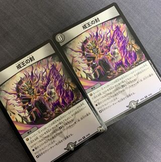 戒王の封　ギアファン様専用