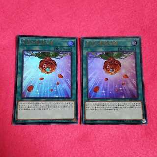 遊戯王　天啓の薔薇の鐘　ウルトラ　2枚