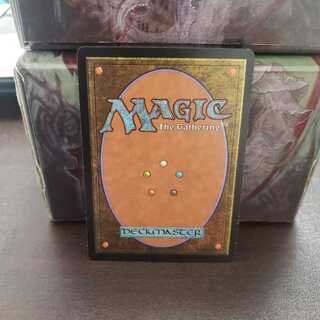 にむら様専用 集合した中隊 foil