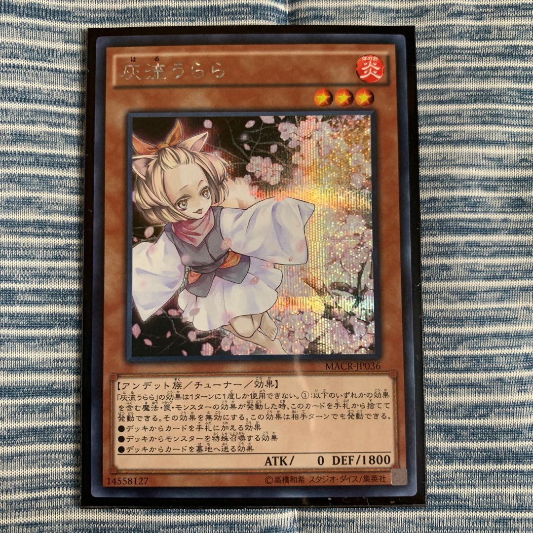 No.509_灰流うらら