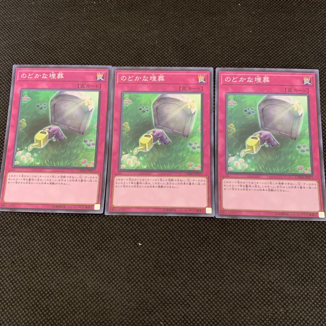 のどかな埋葬 SR