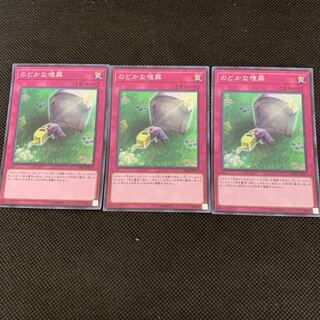 のどかな埋葬 SR