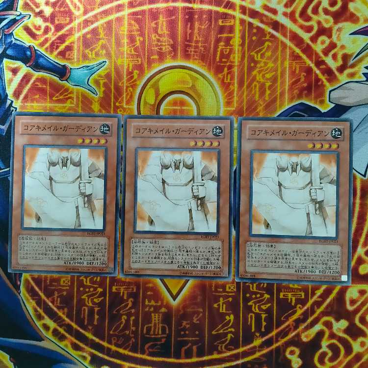 Koa'ki Meiru Guardian