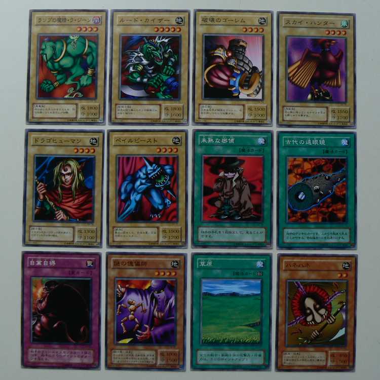 Structure Deck EX-R [no box, no accessories, cards only]*Please check the product contents Card Squirrelto learn more.