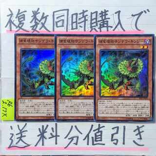 Prey Upon Plant Sandeukinjie Super x 3 cards Yu-Gi-Oh (2)