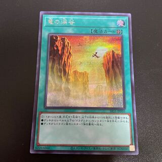 竜の渓谷　シークレット