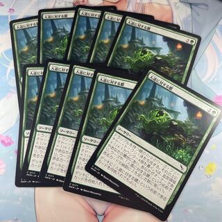 人道に対する膿　40枚 人道に対する膿 [MKM] 【BIGWEB | MTG】日本最大級の激安カード