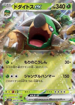 Torterraex RR 005/071 Pokémon cards