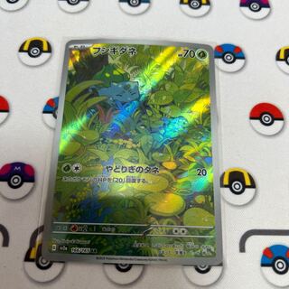 フシギダネ AR 166/165