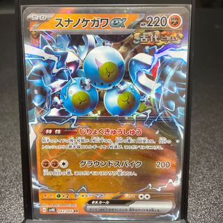 スナノケガワex RR 042/066