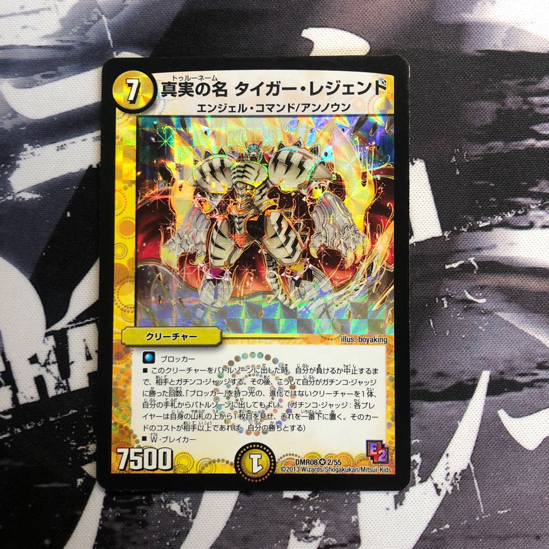 真実の名 タイガー・レジェンド