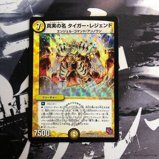 真実の名 タイガー・レジェンド