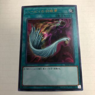 ハーピィの羽根帚 UR