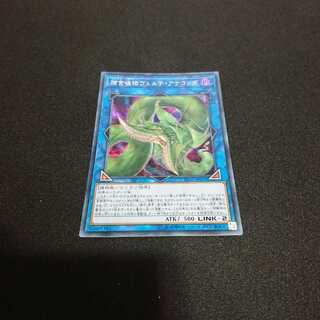 捕食植物ヴェルテ・アナコンダ SE