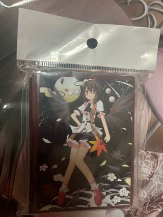 Tougenkyo: Toho Project, Inoue Marufumi Sleeve