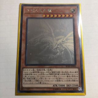 青眼の亜白龍 HR