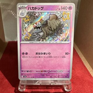Pokémon Card [Hakadog] S exclusively for Hiori